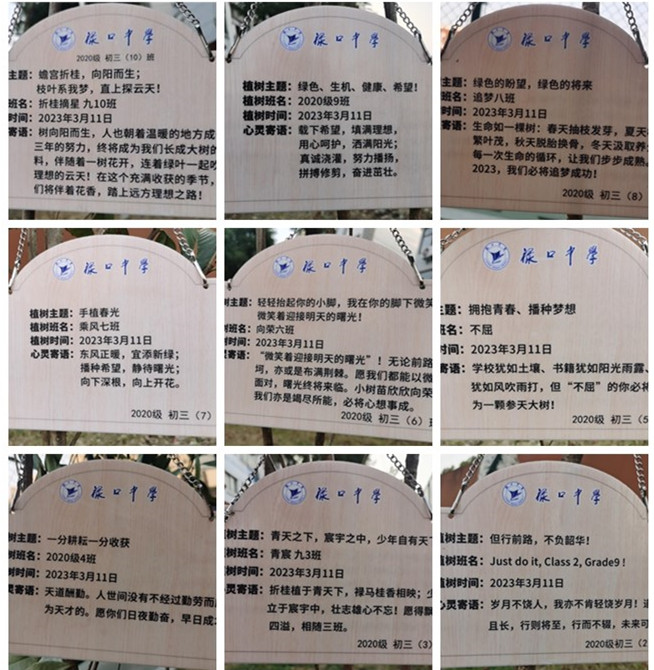 树牌.jpg